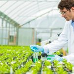 Brazil Agricultural Biologicals Market