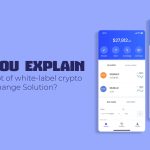 Can you explain the concept of white-label cryptocurrency exchange software_ (1)