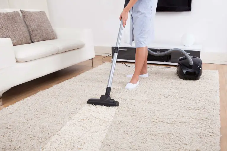 Carpet Cleaning Services in Redford MI