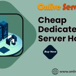 Cheap Dedicated Server Hosting (3)