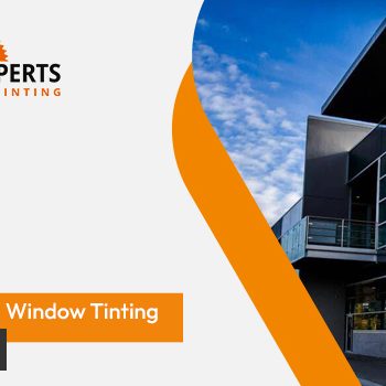 Commercial Window Tinting Auckland