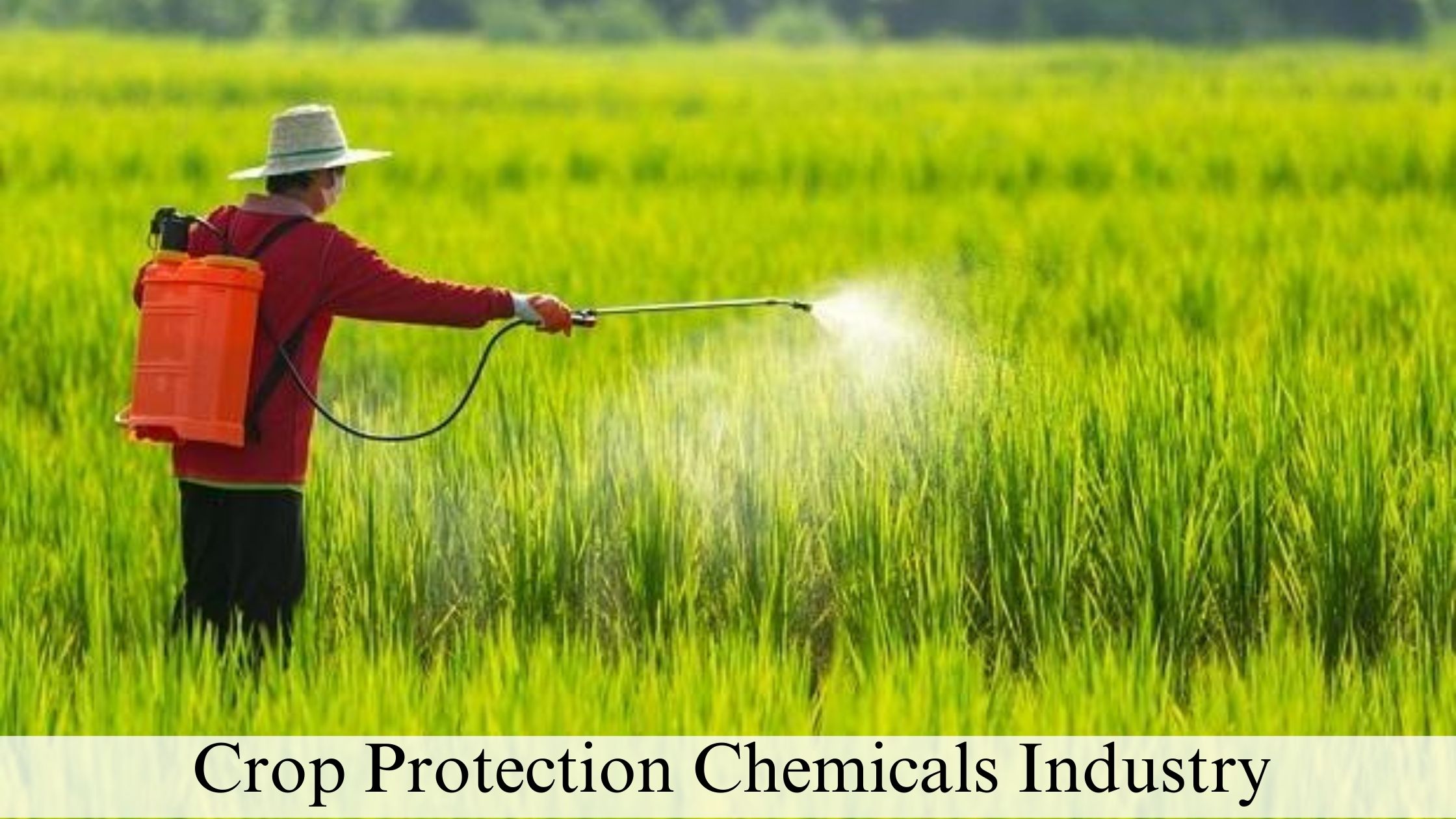 Crop Protection Chemicals Industry