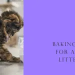 Can I Put Baking Soda in My Cat’s Litter Box?