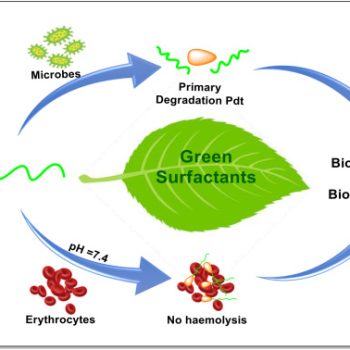 Green Surfactants