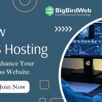 How VPS Hosting Can Enhance Your Business Website (1)