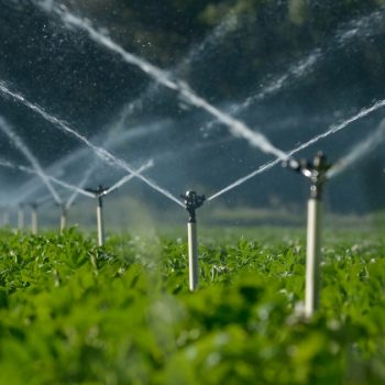 Irrigation Automation