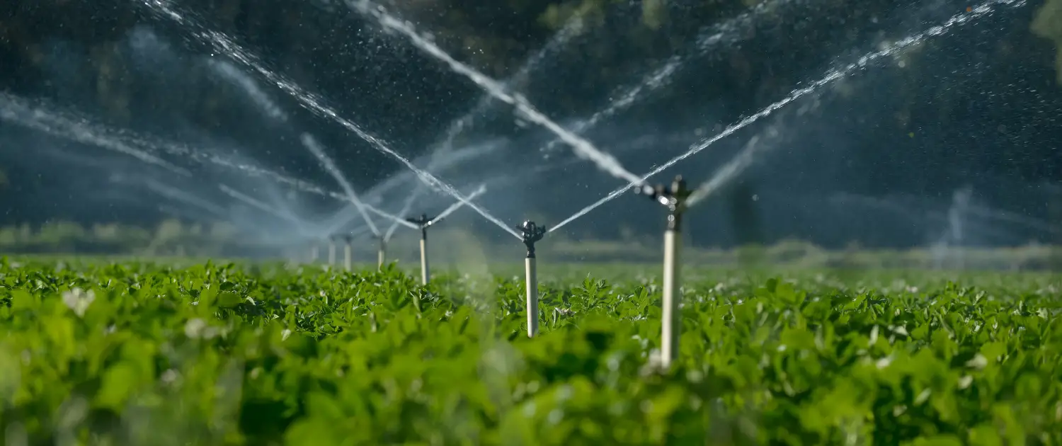 Irrigation Automation