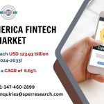 Latin America Fintech Market
