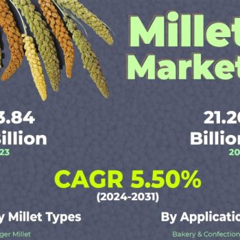 Millets Market