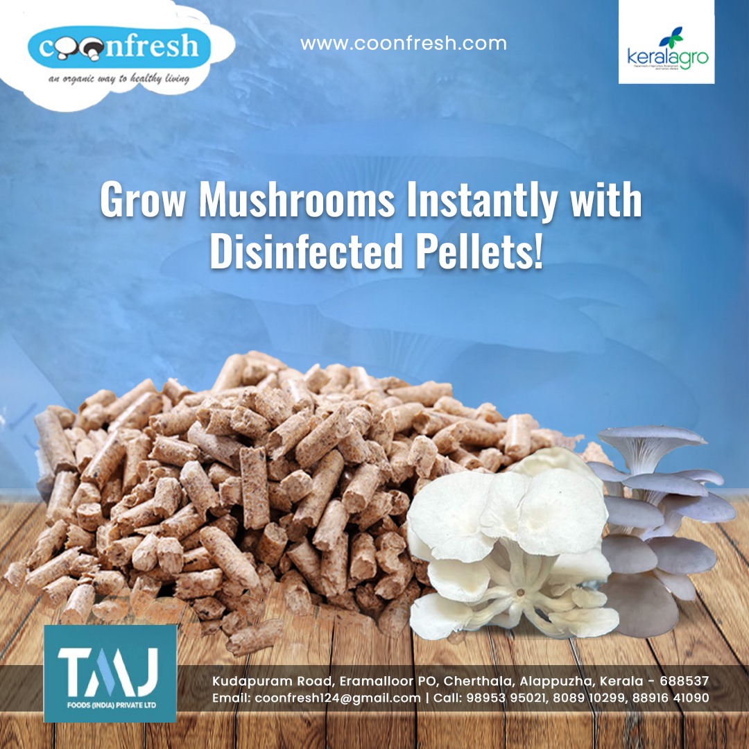 Mushroom cultivation training in Kerala