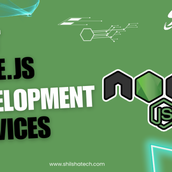 Node.JS Development Services Company India