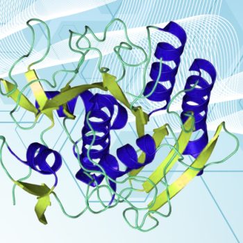 Proteinase K Market