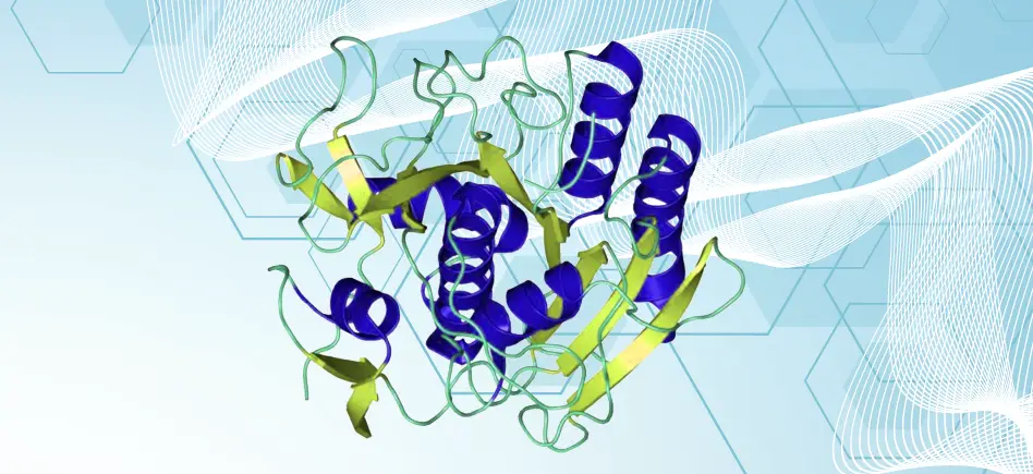 Proteinase K Market