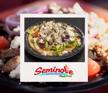 Seminole Subs & Gyros Franchise System is ELECTRIC