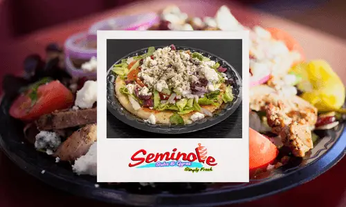 Seminole Subs & Gyros Franchise System is ELECTRIC