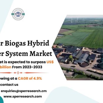 Solar Biogas Hybrid Power System