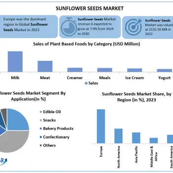 Sunflower-Seeds-Market