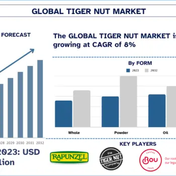 Tiger-Nut-Market-Size-Forecast-1024x576