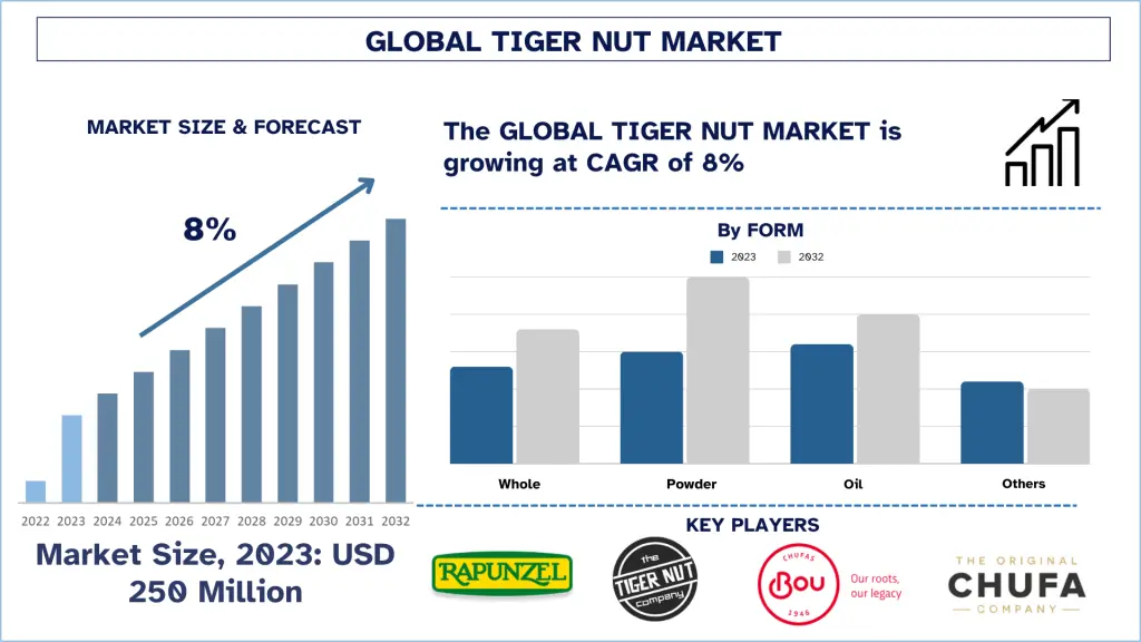 Tiger-Nut-Market-Size-Forecast-1024x576
