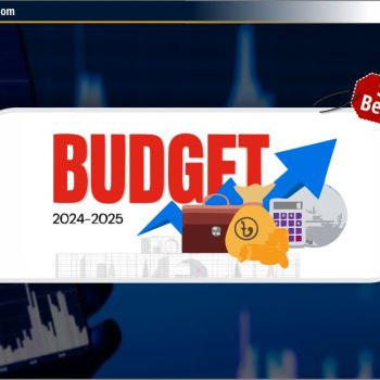 Top Sectors & Stocks Benefited from Union Budget 2024