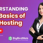 Understanding the Basics of VPS Hosting