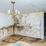 Water Damage Restoration in Dallas