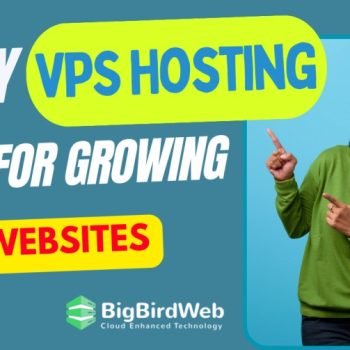 Why VPS Hosting is Ideal for Growing Websites