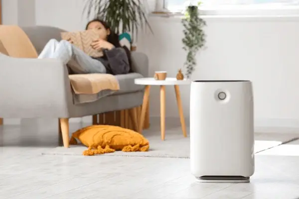 air-purifier-against-blurred-woman-600nw-2409959243