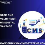 best cms development services in india