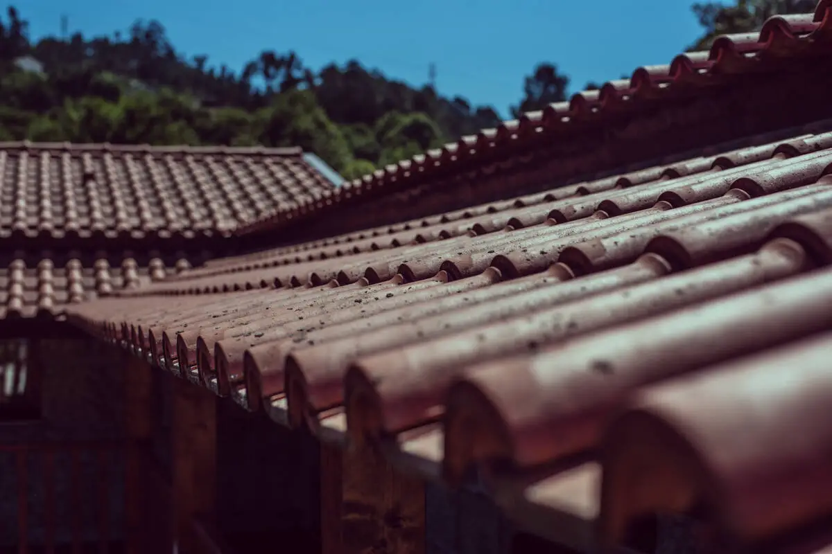 home-clay-roof-tile_1200x800_1_optimized