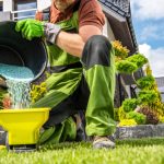 lawn fertilizing services