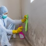 mold_remediation1