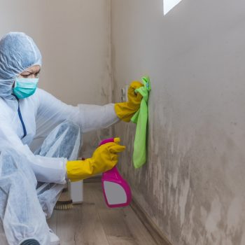 mold_remediation1