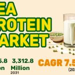 pea protein market