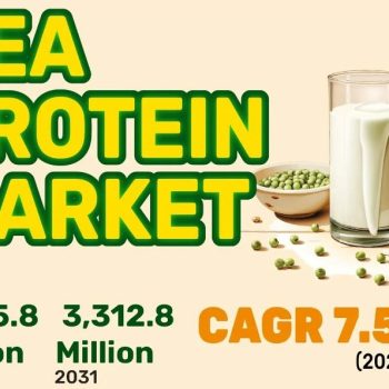 pea protein market