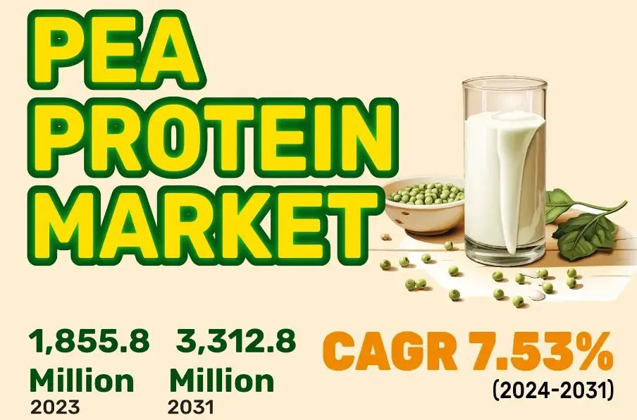 pea protein market