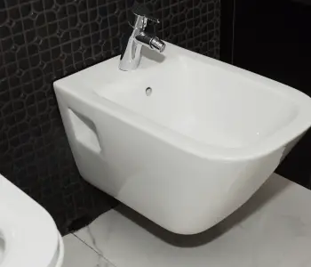 7 Amazing Benefits Of Installing Bidet Toilet Combo  St Pete