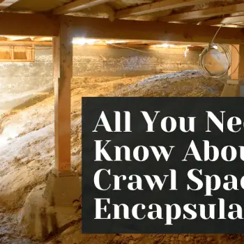 All You Need to Know About Crawl Space Encapsulation