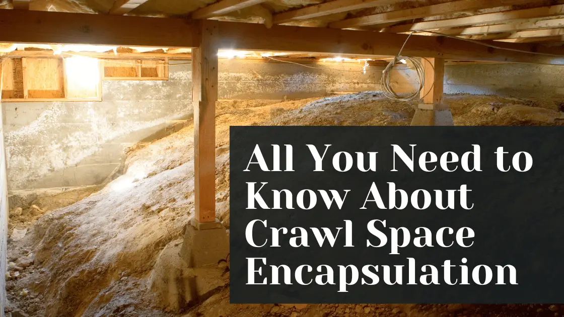 All You Need to Know About Crawl Space Encapsulation