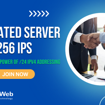 Dedicated Server with 256 IPs Unlocking the Power of 24 IPv4 Addressing