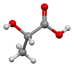 Lactic Acid