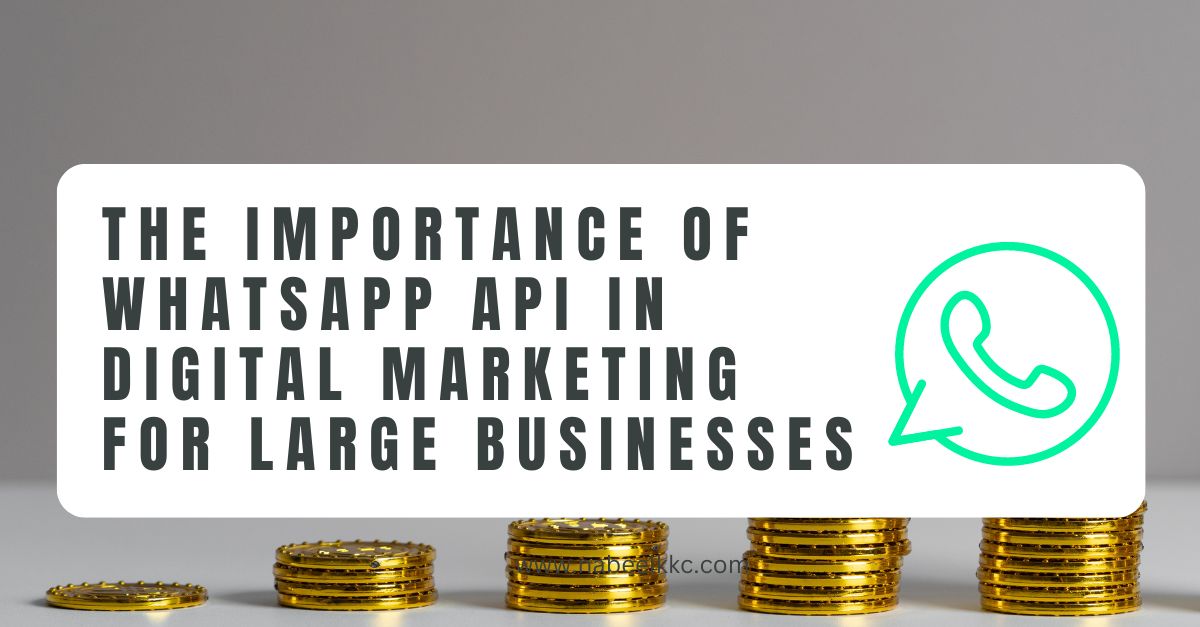 The Importance of WhatsApp API in Digital Marketing for Large Businesses