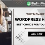 Why Managed WordPress Hosting Could Be the Best Choice for Your Business