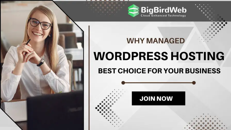 Why Managed WordPress Hosting Could Be the Best Choice for Your Business