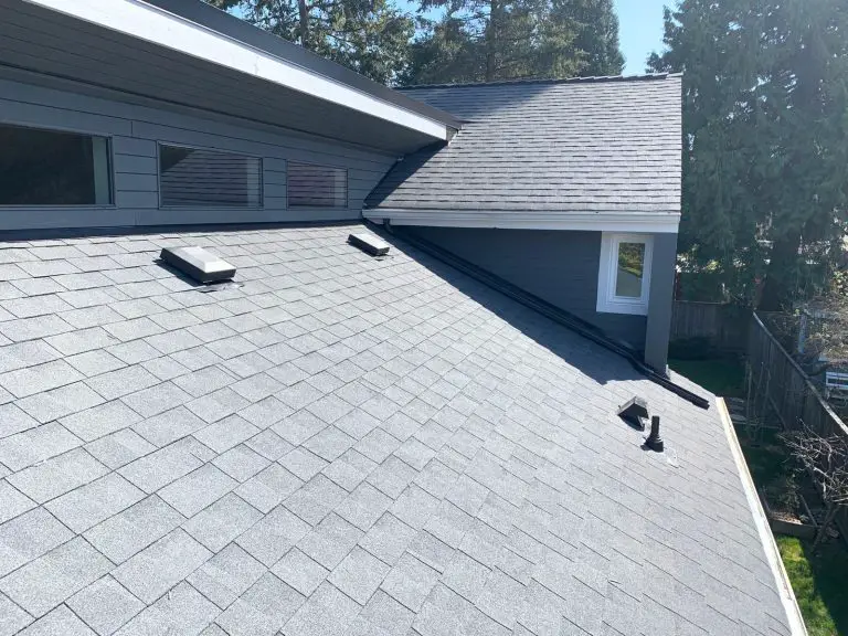 shingles roof