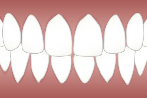 dental-3599752__340