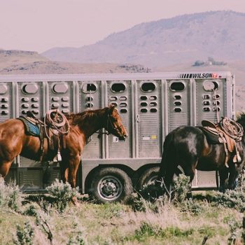 horse trailer